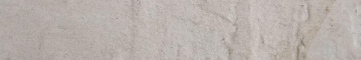 103760705116782336513 