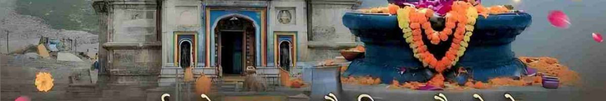 100634810706999045306 