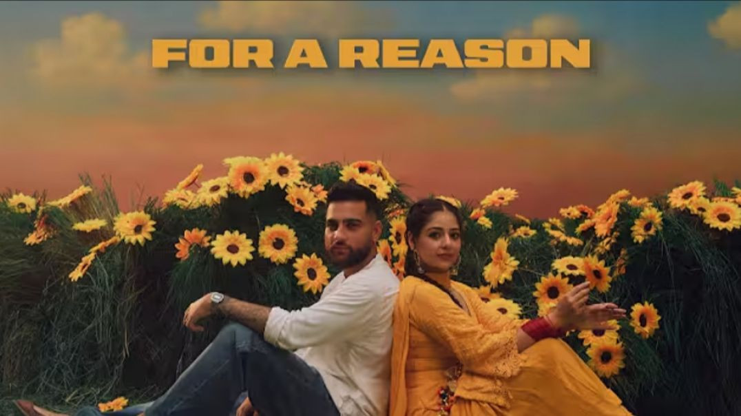 ⁣For a reason! Panjabi song!