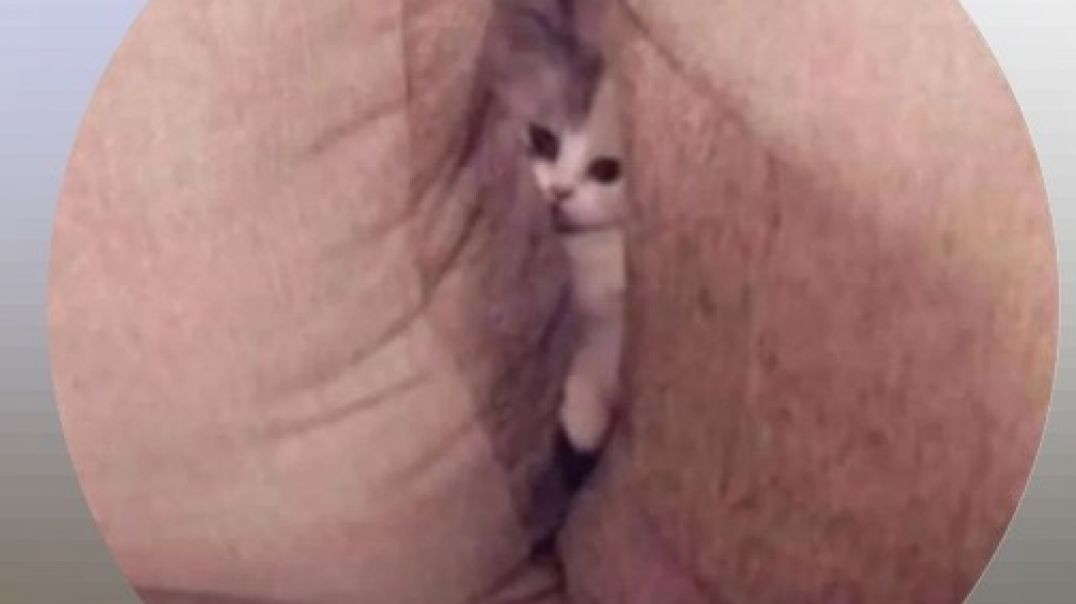 ⁣Dhanda_Nyoliwala_-_Not_Guilty_Official_Music_Video_720P