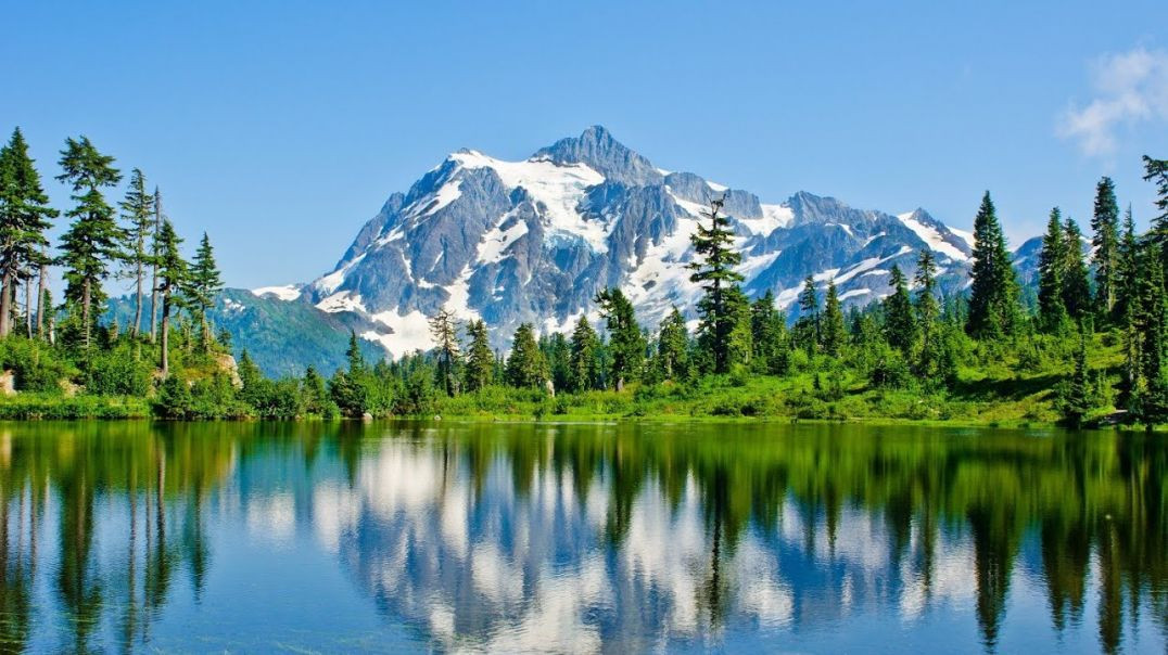 ⁣Beautiful Relaxing Music - Stop Overthinking, Stress Relief Music, Sleep Music, Calming Music