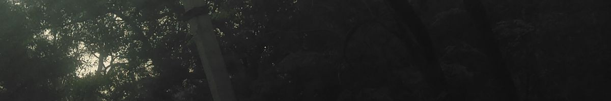 e601391c9