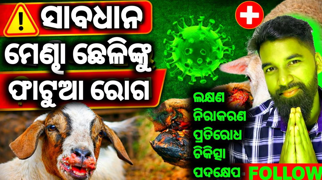 ⁣Animals health care tips//Sheep goat farming tips