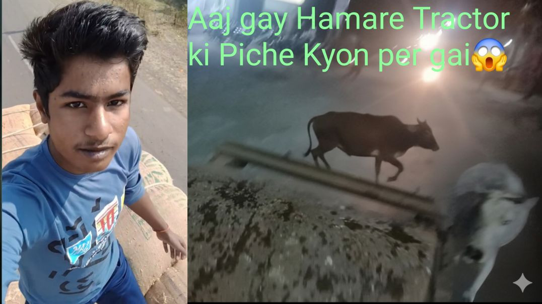 ⁣Aaj gay Hamare Tractor ki Piche Kyon per gai
