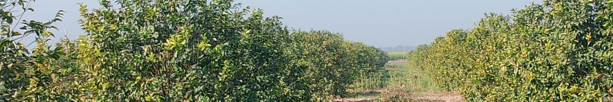 Harish Kumar
