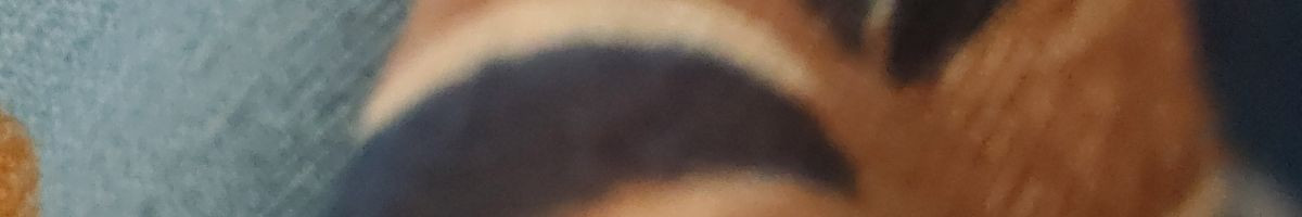 107571748679359478408 