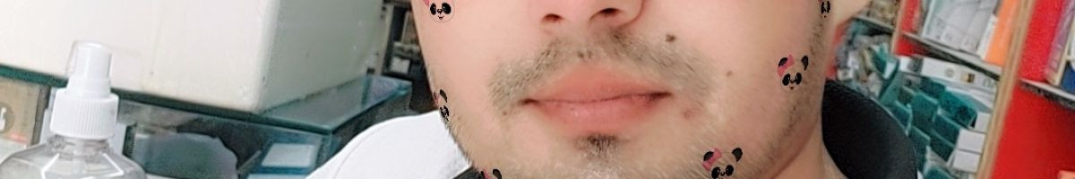 113270813916040524213 