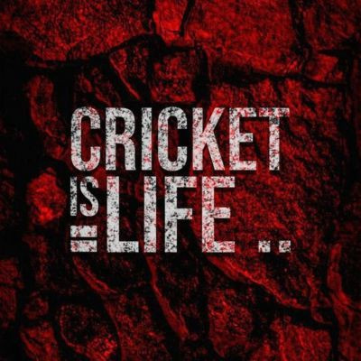 cskfan_01v cskfan_01v