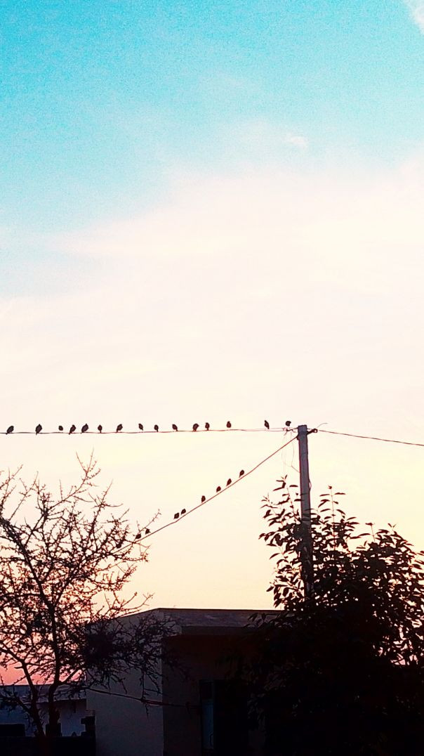 lv_7494408756076252469_20260210203706