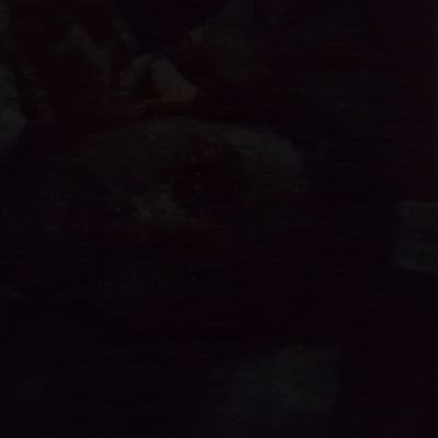 107674529364232750955 