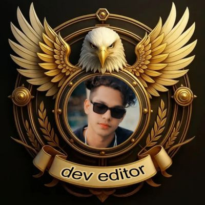 dev editor