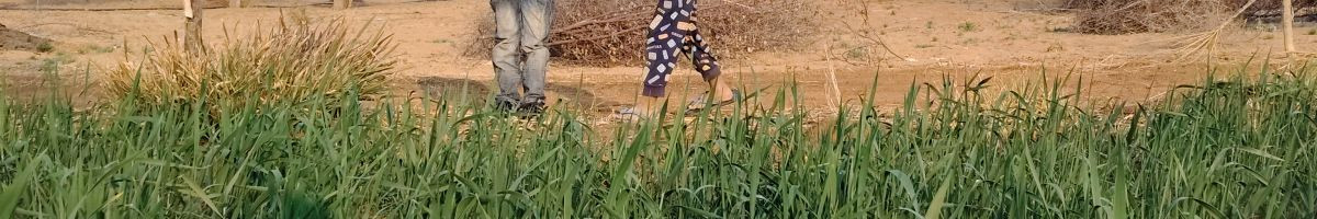 115308251949393463666 