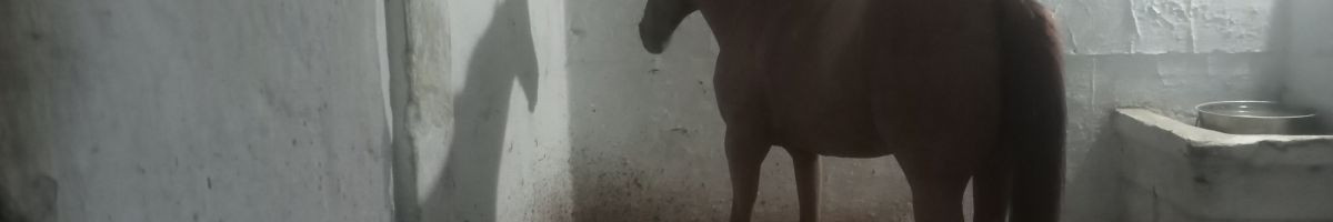 118349119559023181596 