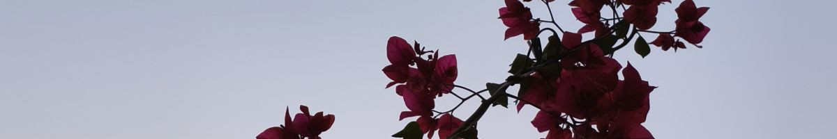 मुस्कुराता हिंदुस्तान