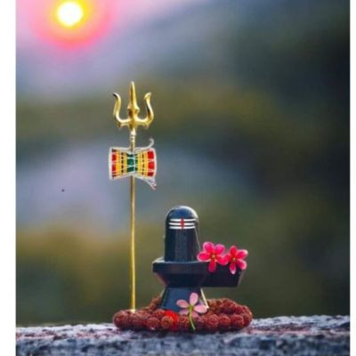 110539856214178031722 