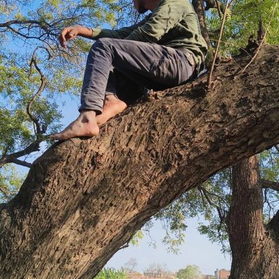 103101217589999908740 