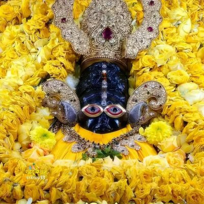 116588792073950078894 