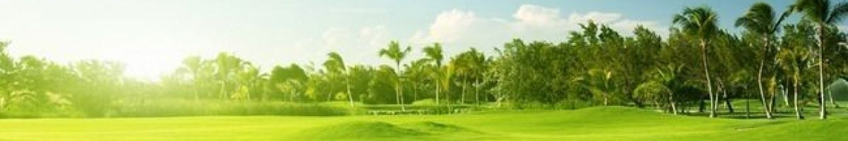 116697183212412217939 