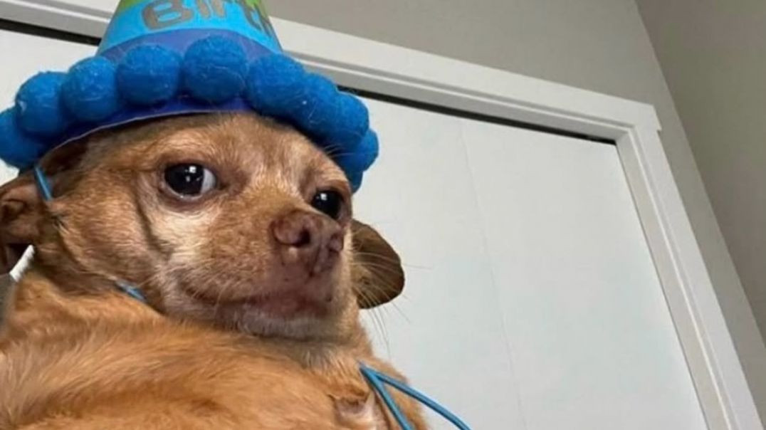 Chin_Robotic_Coffee_china_shortsvideo_reels_reelsinstagram_shorts_720P