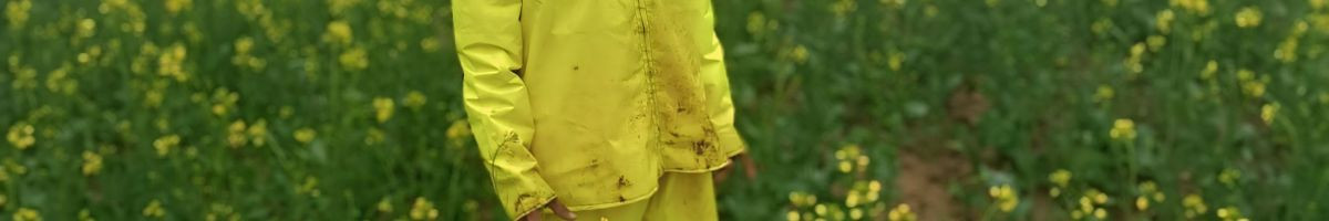 TheMusicMaestro TheMusicMaestro