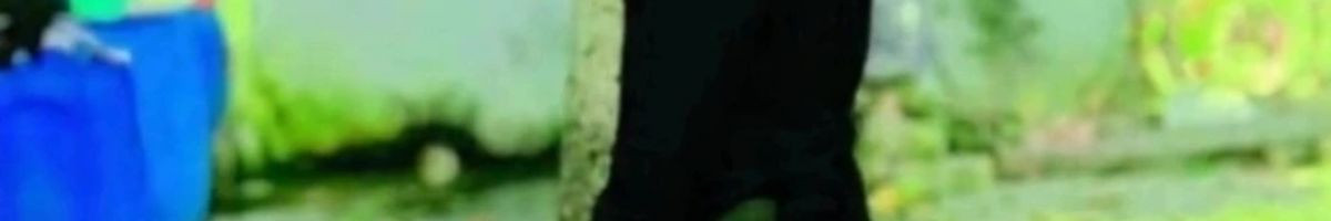 sunilkumar sunilkumar