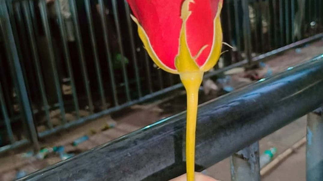 ⁣Radha Rani very important