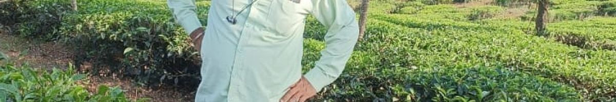 112054681861941778500 