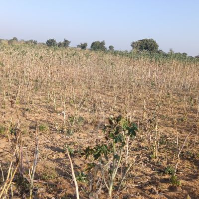 100744776331086527620 