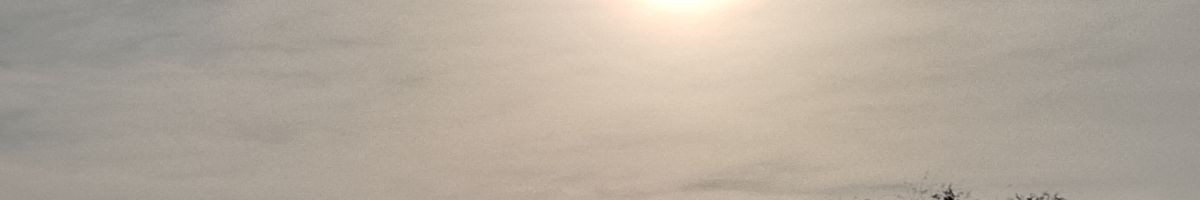 113264353874524147850 