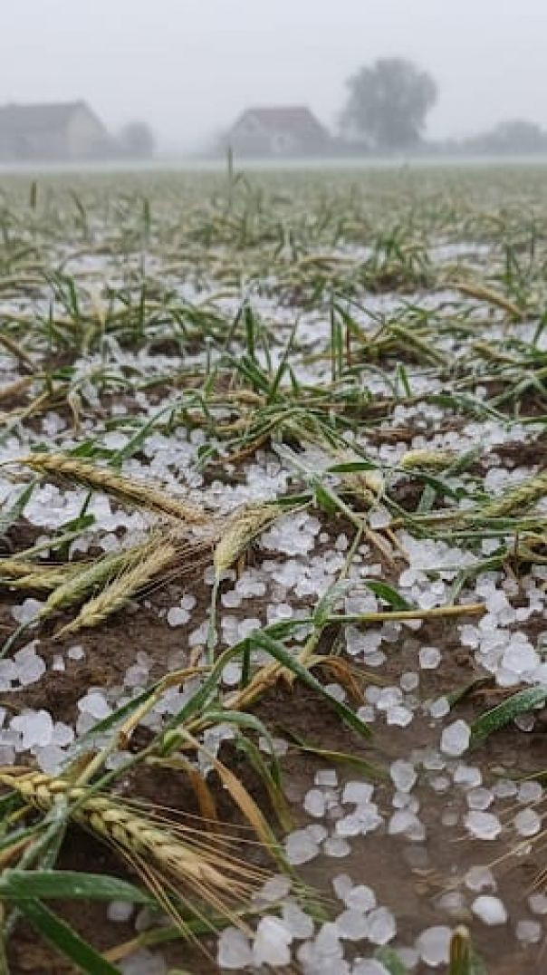 snapsave-app_1396622672263558_hd