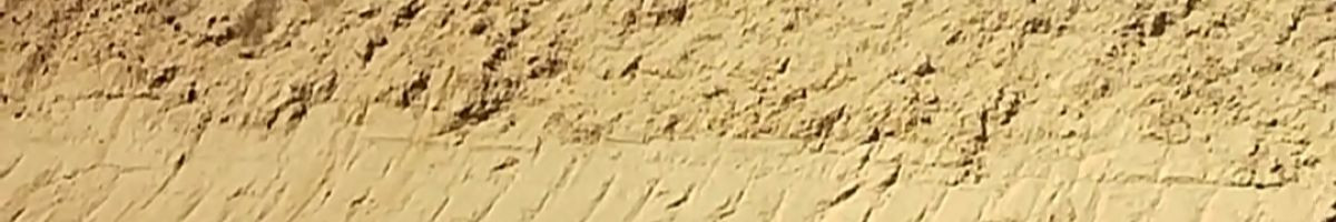 110156245215039674042 