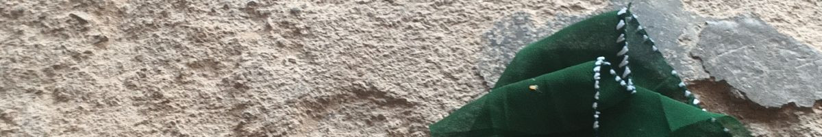 111708861447207154341 