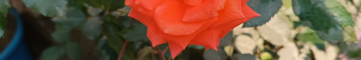 105547373754680322855 