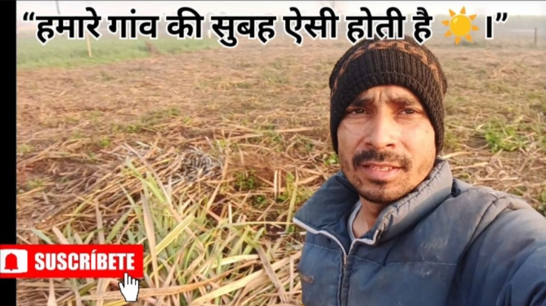 गांव जैसा जीवन कहीं नहीं