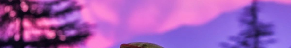 107339644748457543803 