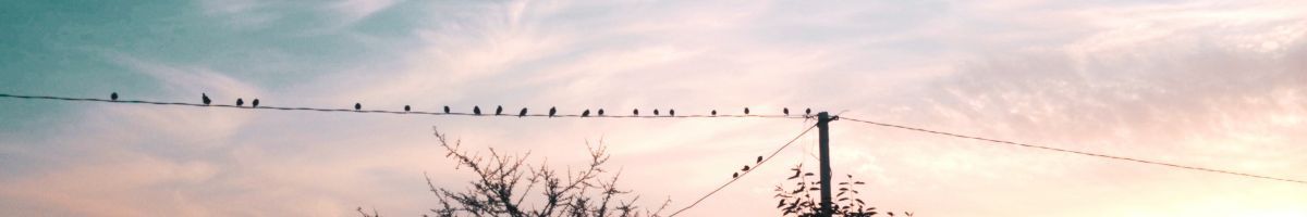 sarkar_live_1vs4 sarkar_live_1vs4