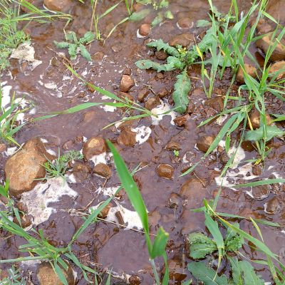 109456710327616852512 