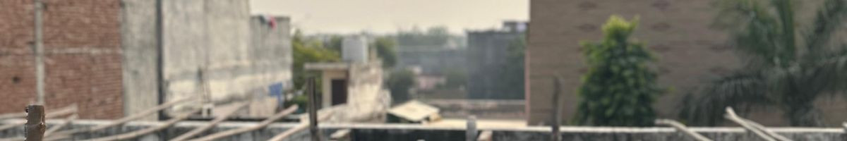 104167649319386100201 