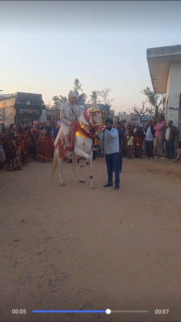 video_20260207_234058_edit