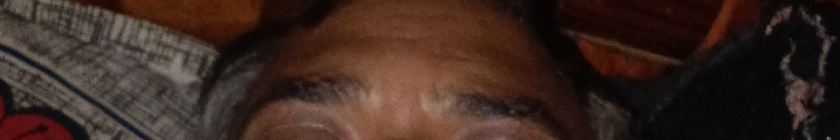 113110130437329073793 