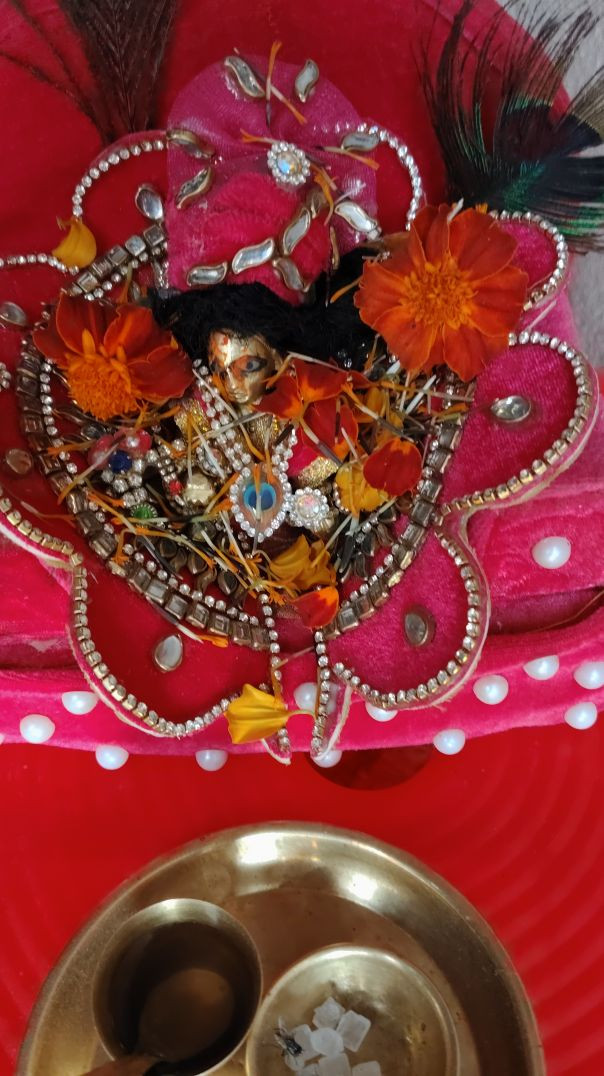 laddu Gopal ki video Apna tube per video upload ki Hai