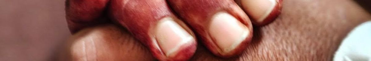 112843440340581969401 