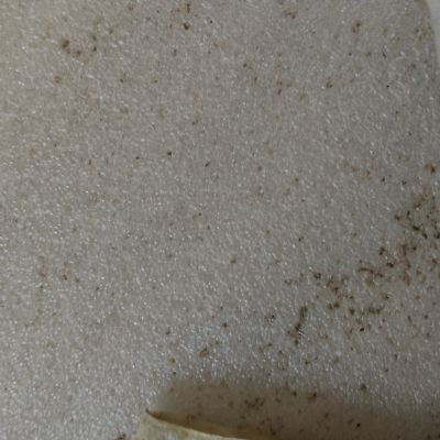 Gagankumar Gagankumar