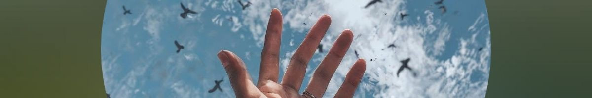 Nature_video Nature_video