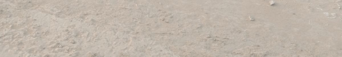 rockymeena01