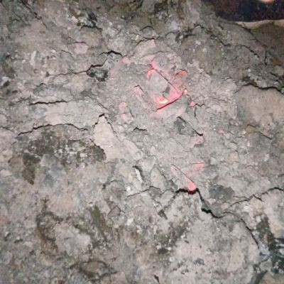 Chandrashekhar Saini