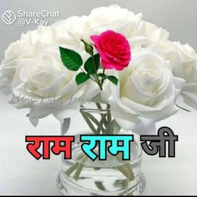 114803421948506015674 