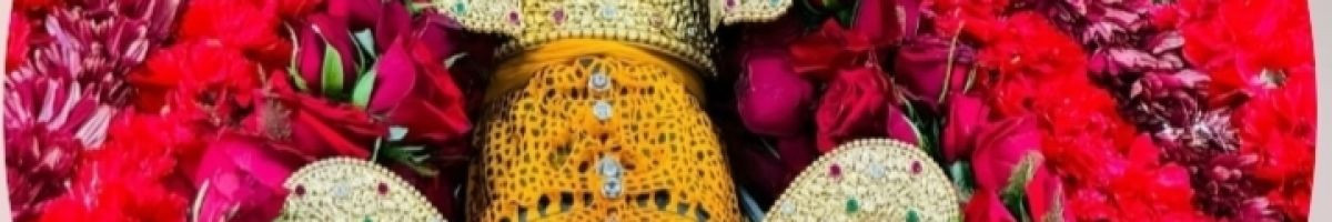 Khatu__Shyam__Darshan