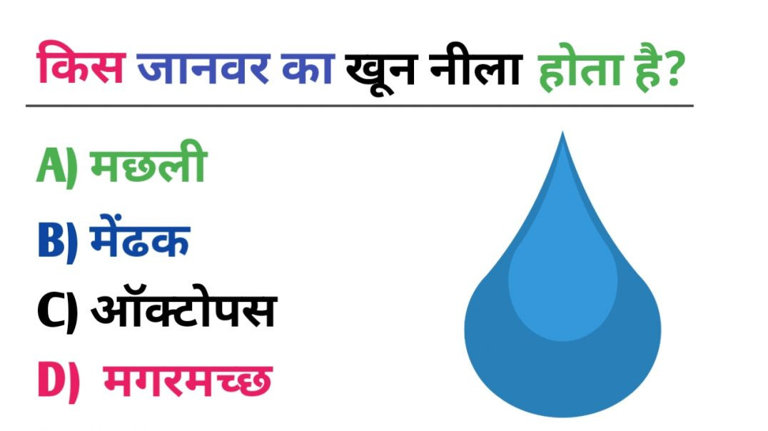 ⁣किस जानवर का खून नीला होता है?