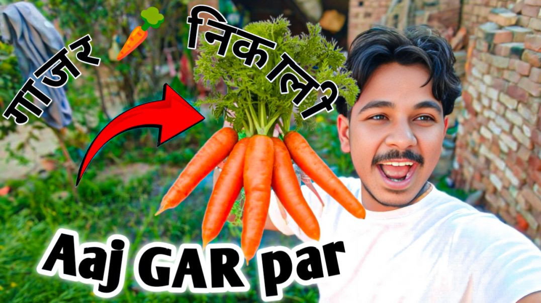 ⁣आज 🏡 घर पर ही गाजर 🥕 निकाली || My home 🏡 /@vinu_vlogers
